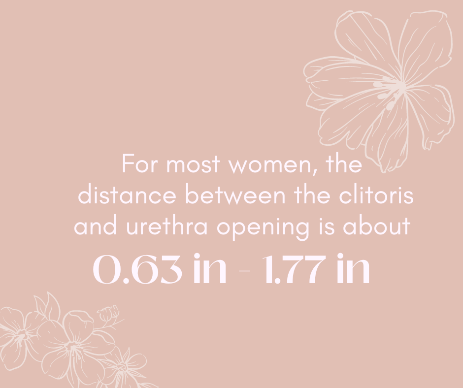 Clitoris infographic. White text says that on average, there's .63-1.77 inches between the clitoris and urethra opening. The background is a salmon pink color with white flower lineart. 